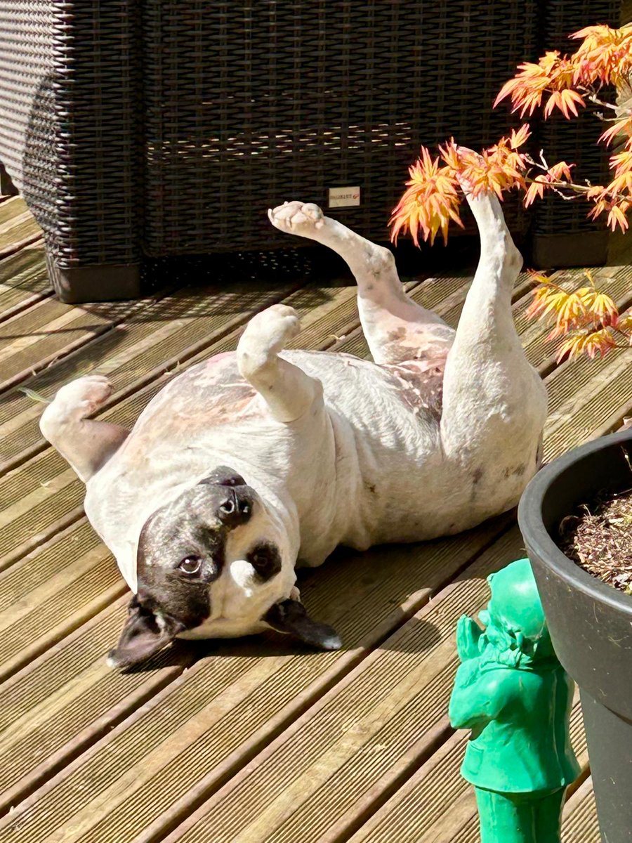 RavenAndCo tweet media