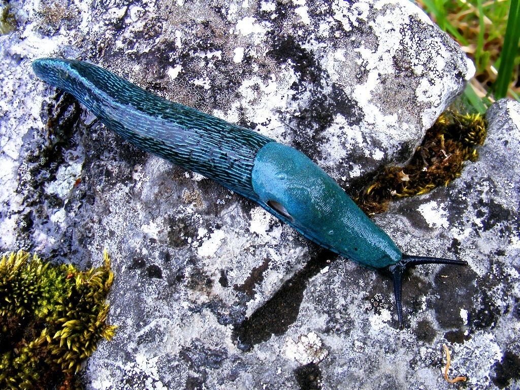 kamranmc tweet media