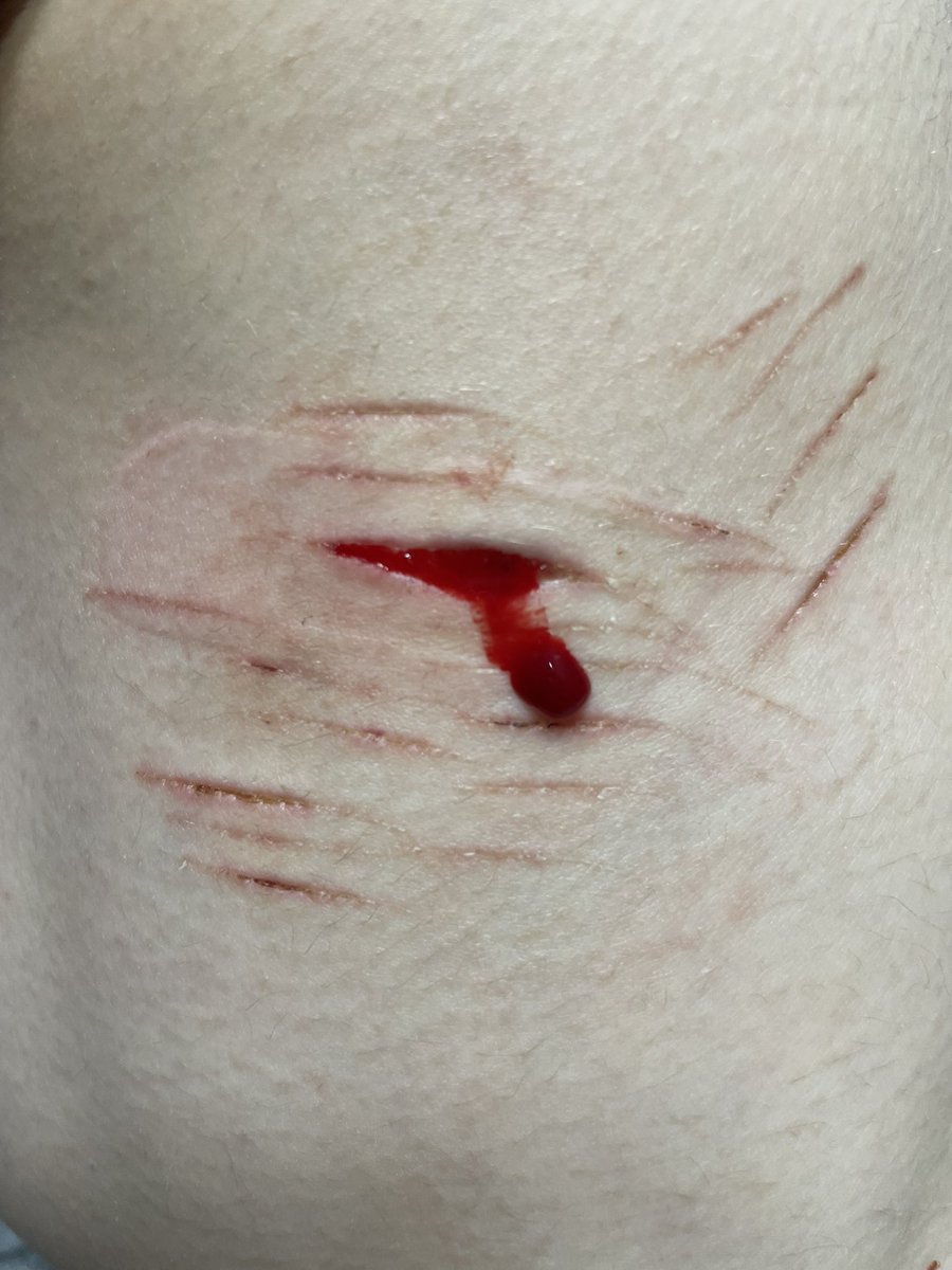 lula /•᷅‎‎•᷄\੭ tweet media