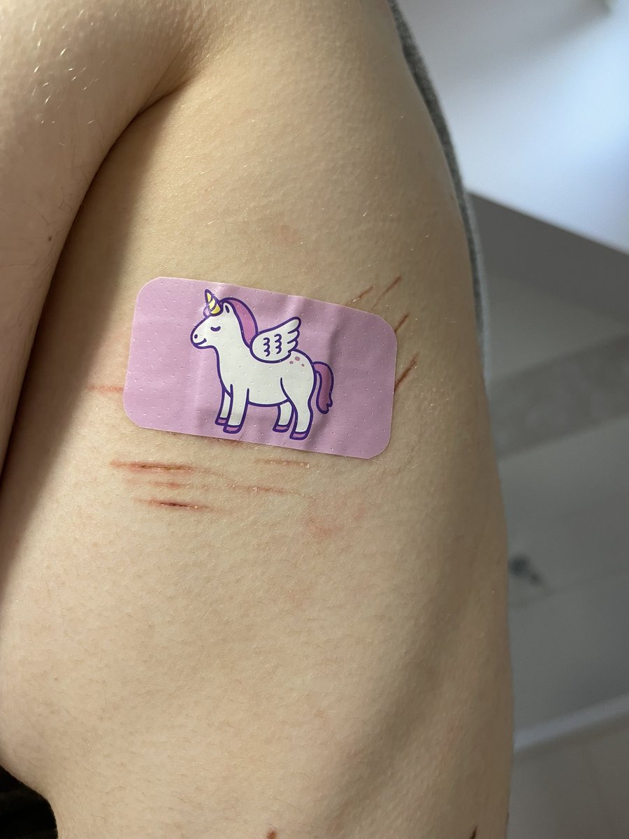 lula /•᷅‎‎•᷄\੭ tweet media