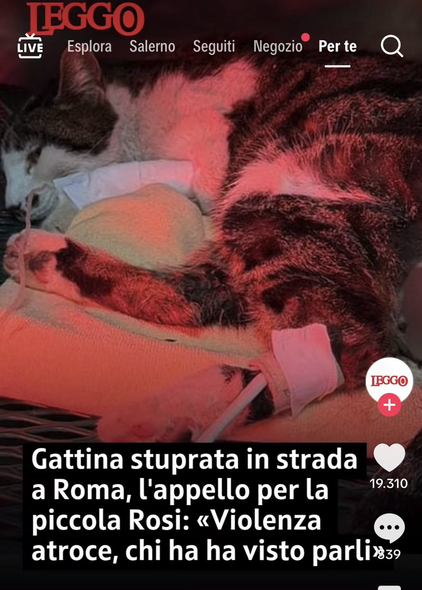 giu 𐙚 tweet media