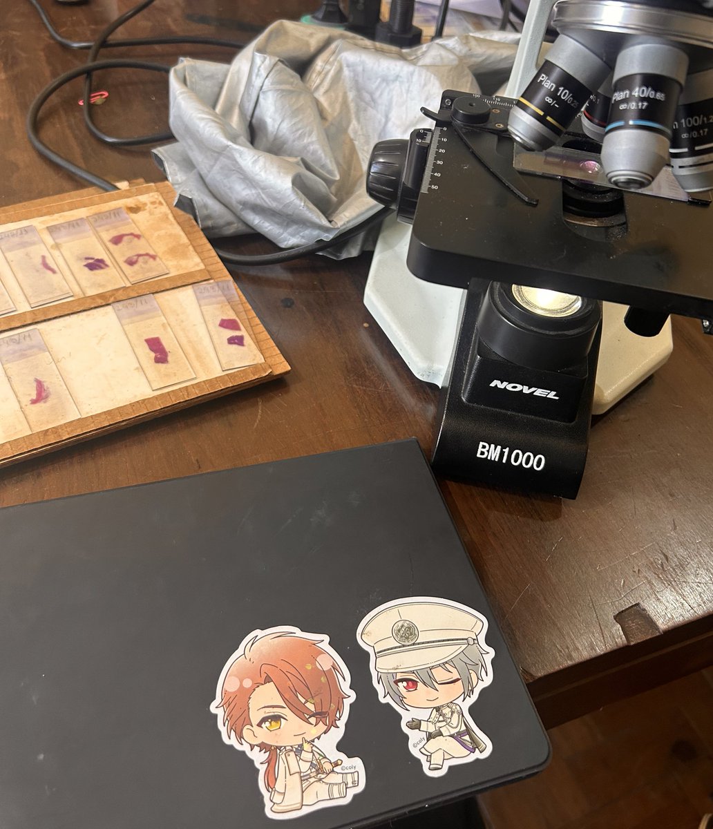 GAB | c0mms open tweet media