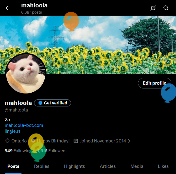 mahloola tweet media