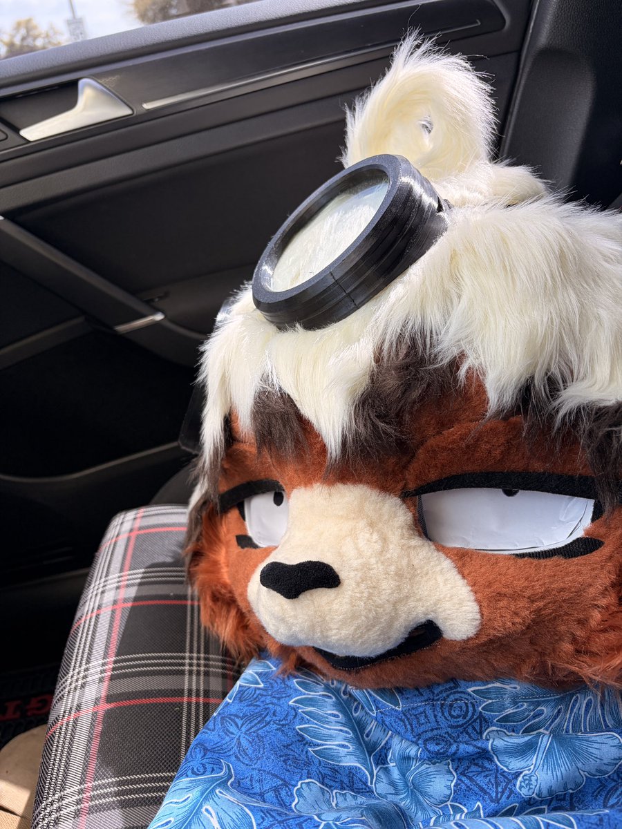 Wai🔜FWA,MP tweet media