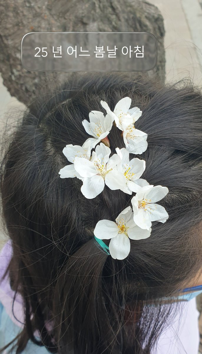 몽글몽실❤️ tweet media