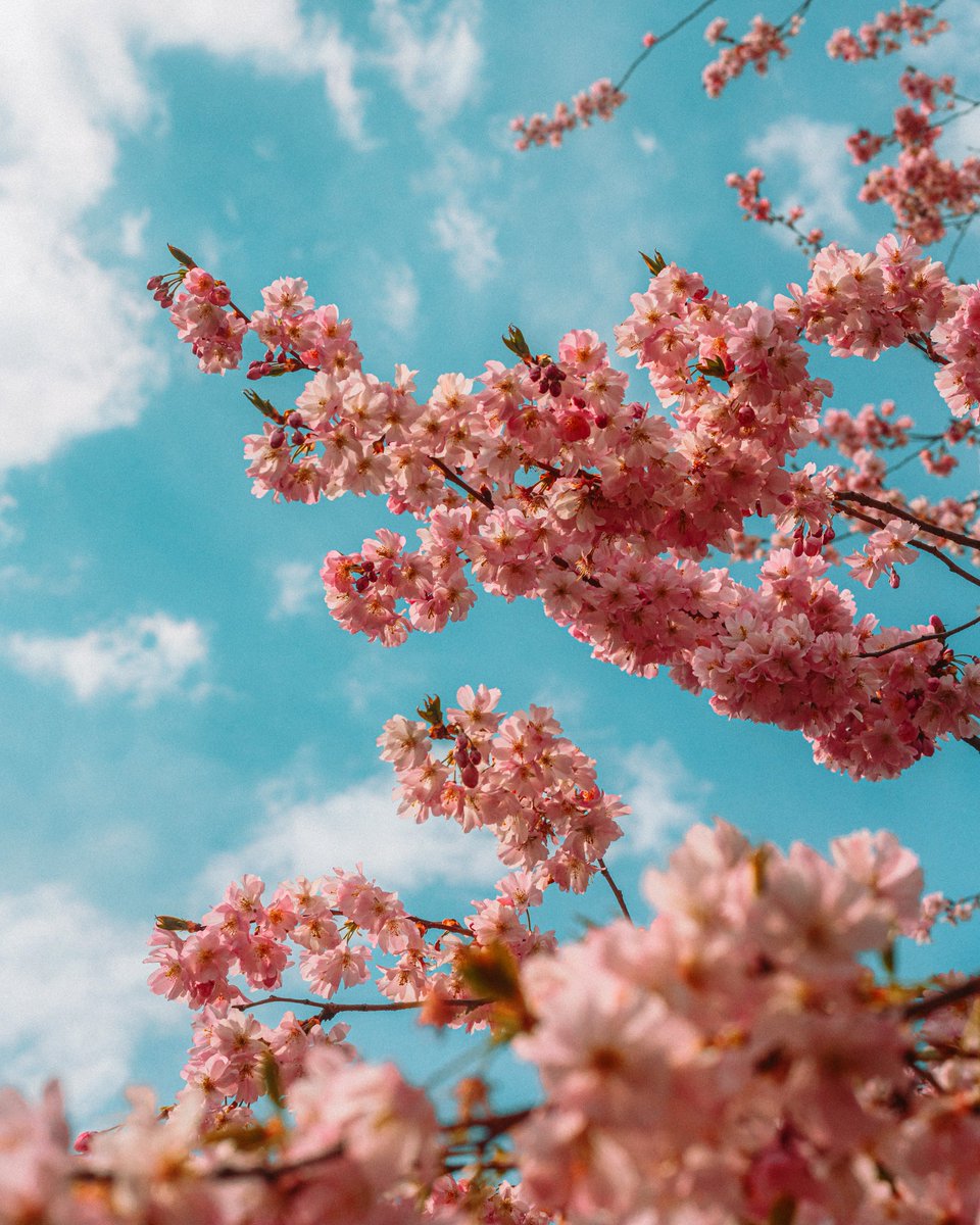 Michael Boegl tweet media