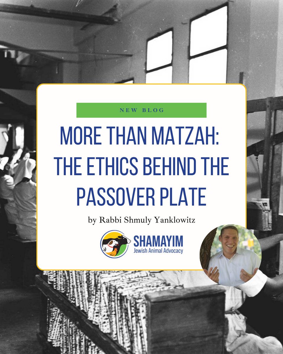 Shamayim: Jewish Animal Advocacy tweet media