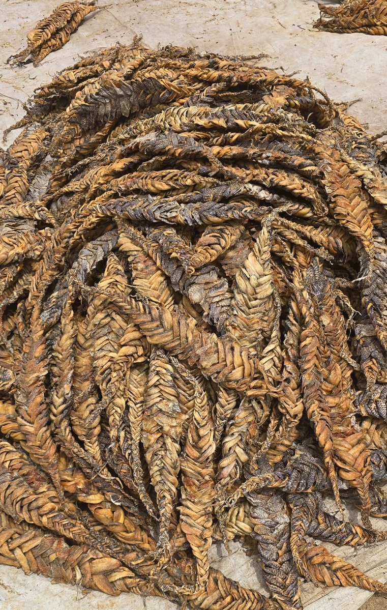 Akech Andrew tweet media