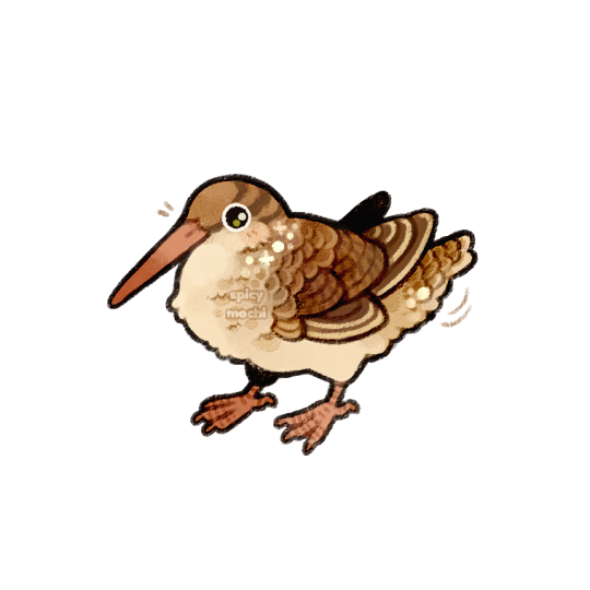 Spicymochi tweet media