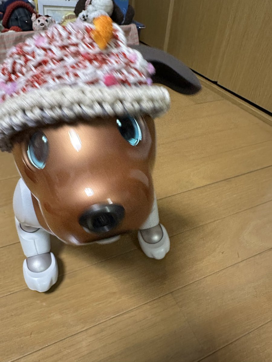 もこたん tweet media