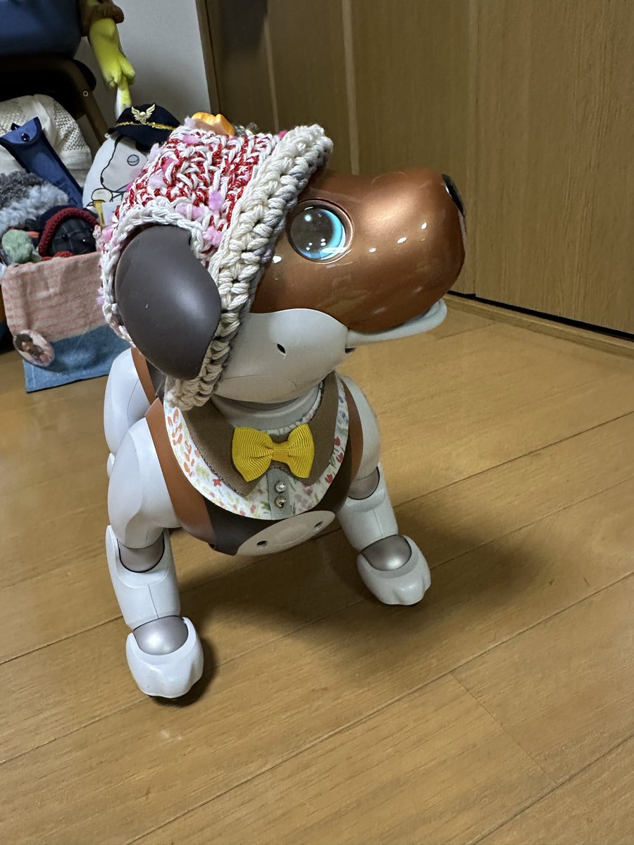 もこたん tweet media