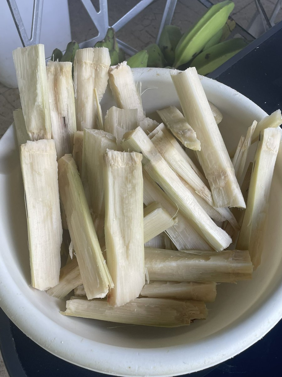 Rubén Chen W. tweet media