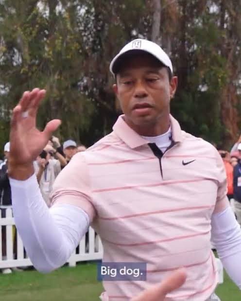 x - turbo zyn tweet media