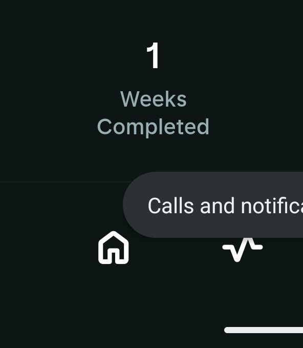 bashmig64's tweet photo. @FEIlXIE is this a recent issue
I had 8 or 9  weeks completed and now it shows only 1 https://t.co/SnLy7ueq1G