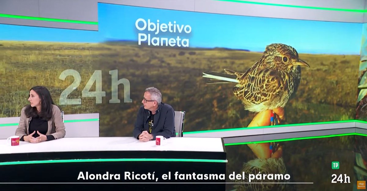 LIFE Connect Ricotí tweet media