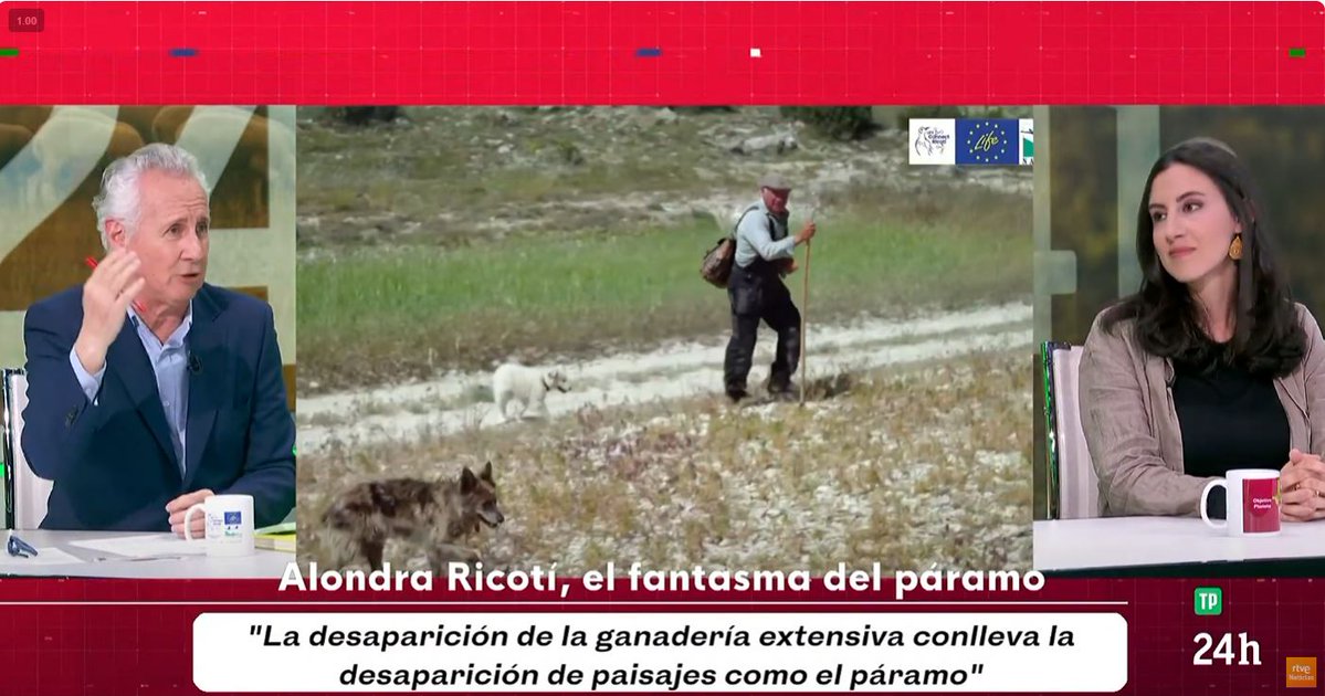 LIFE Connect Ricotí tweet media