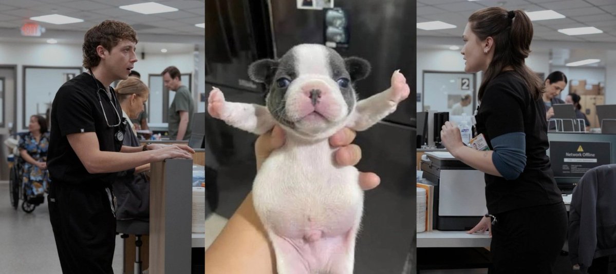 al 🍊 buzztaker ceo tweet media