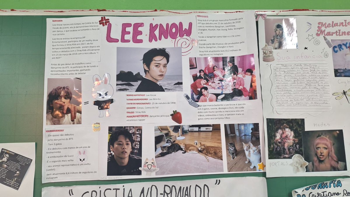 Lee Know Brazil 🐰 tweet media