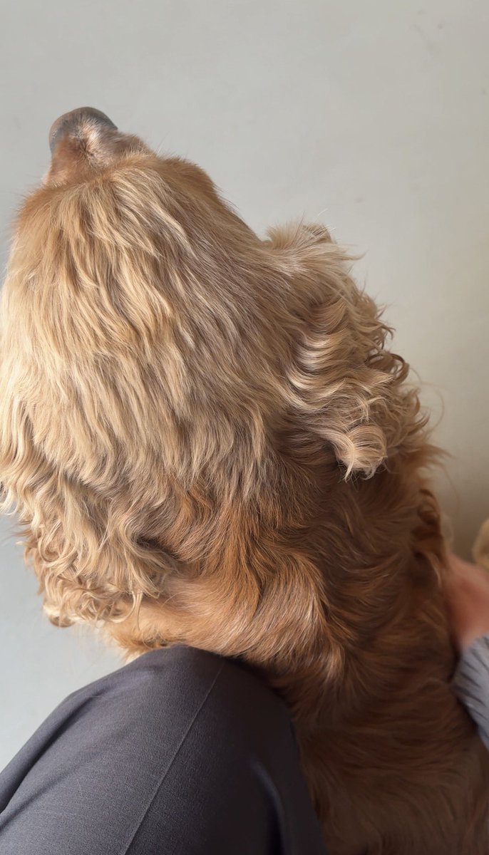 릴리 (𝐿𝑖𝑙𝑦) tweet media