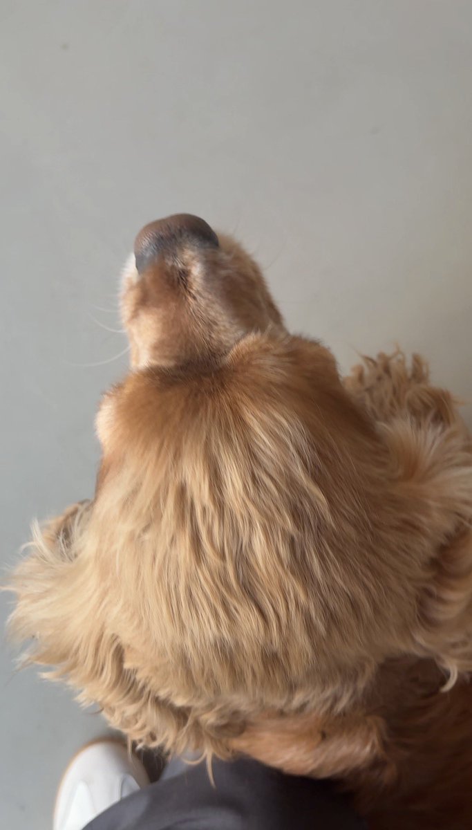 릴리 (𝐿𝑖𝑙𝑦) tweet media