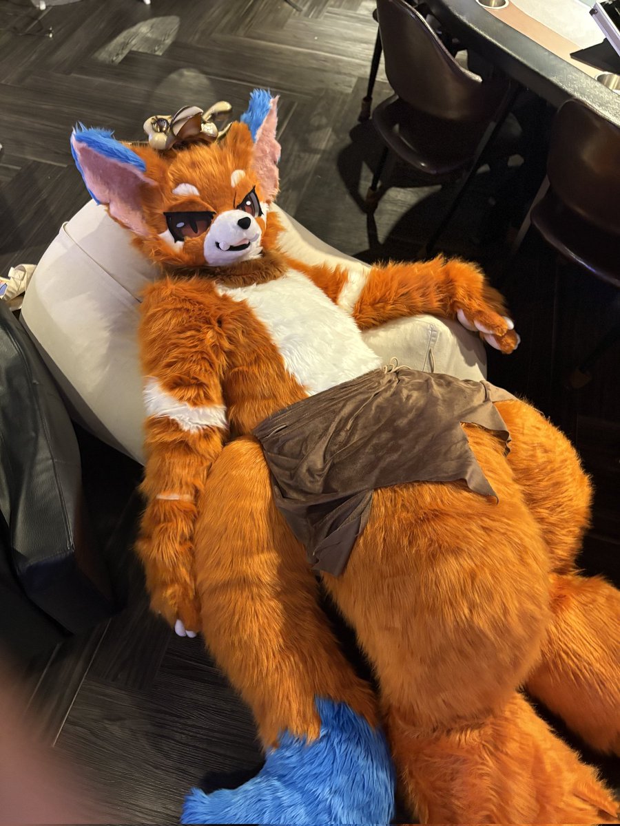 나요➫ 부코(양일),퍼스트클레스(양일) tweet media