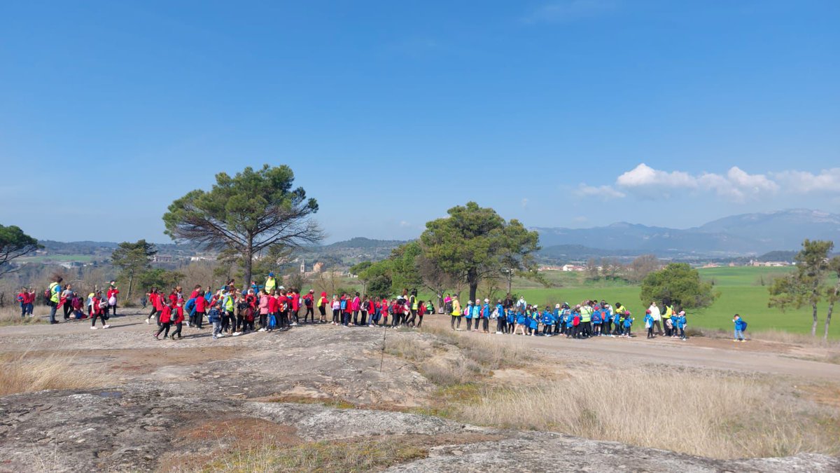 Ajuntament Gironella tweet media