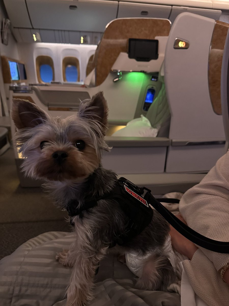 Hunter Bailey tweet media