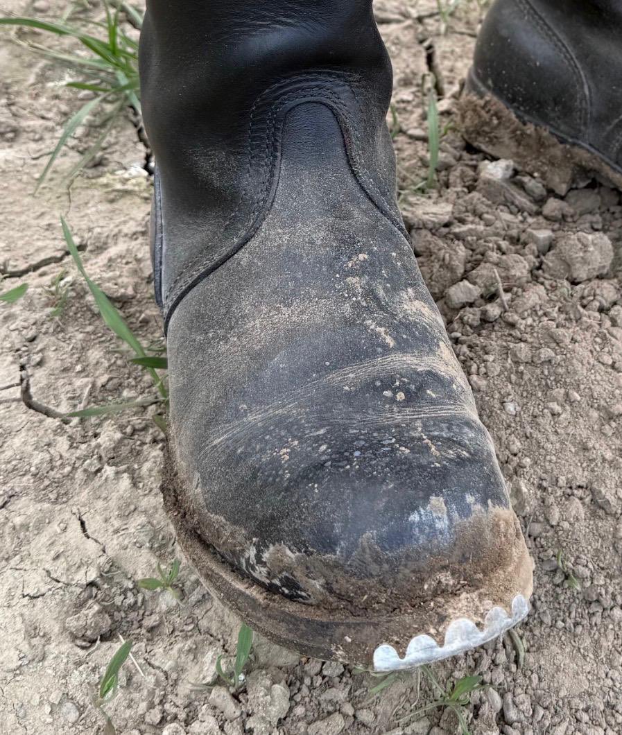 Skinslaveboot tweet media