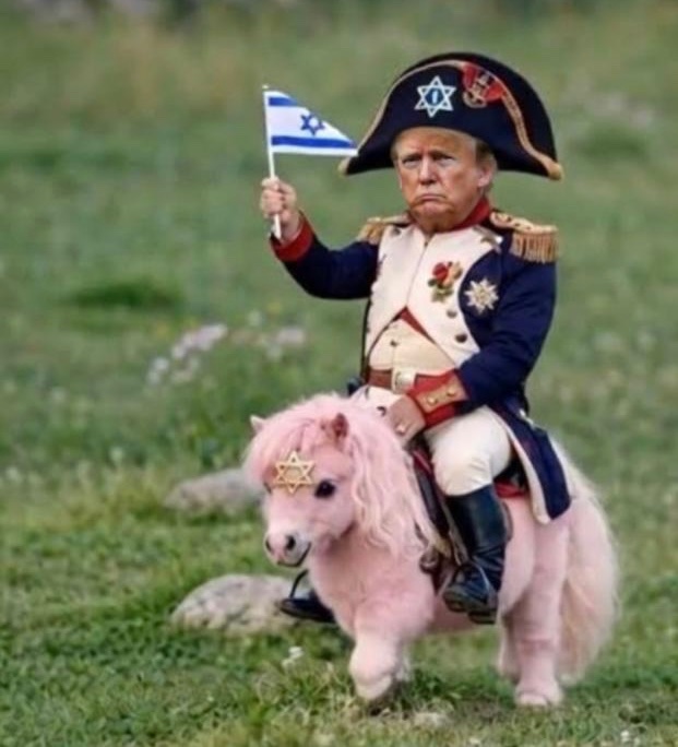 Reimagining Politics tweet media