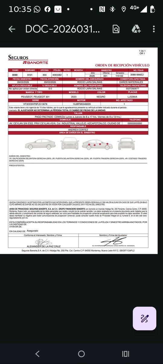 Alexander De la paz tweet media