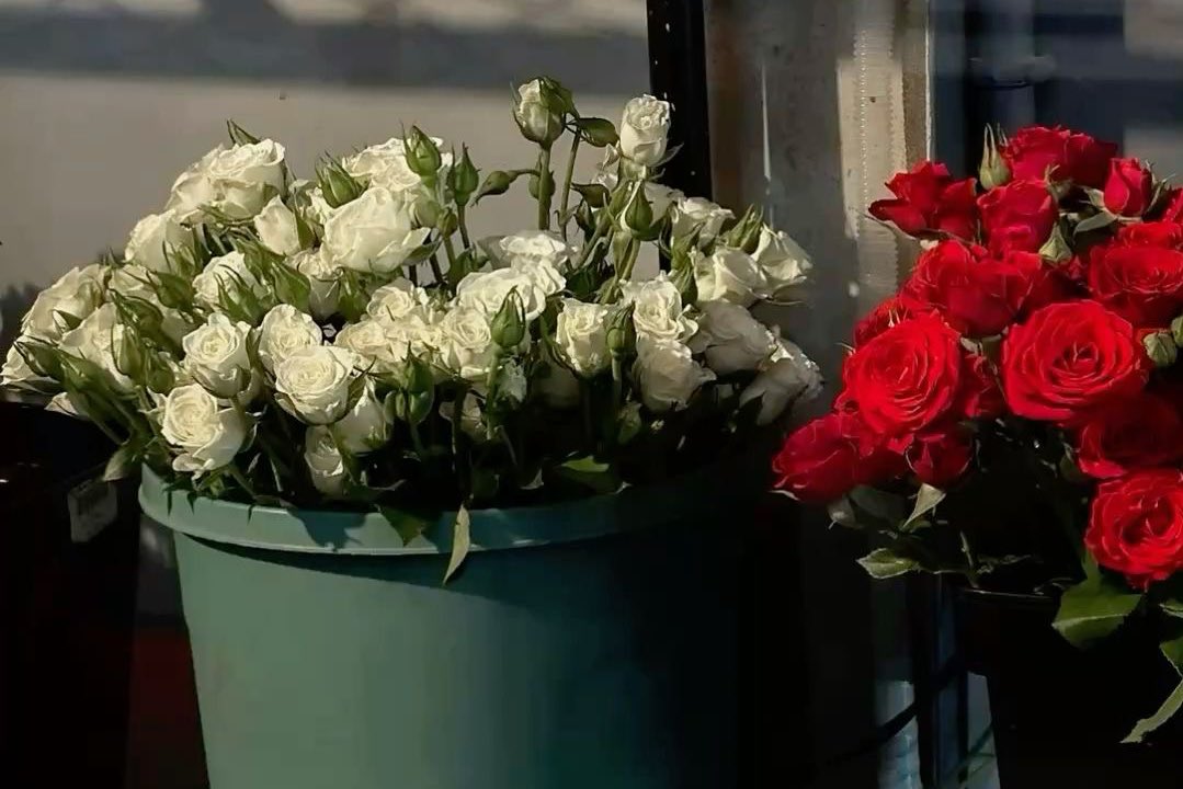 نـِبـض ✗ tweet media