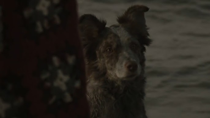 La batcueva del cinéfilo 🌃 tweet media