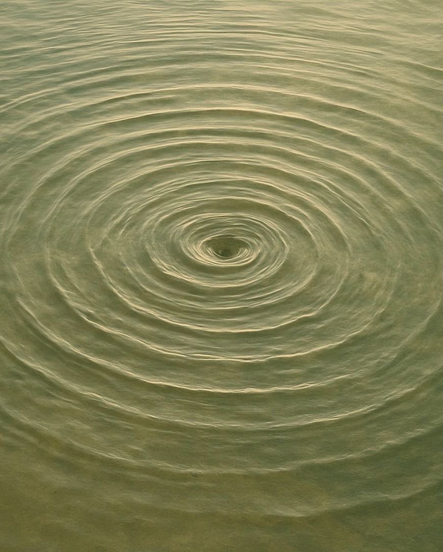 𓆝 𓆟 𓆞 tweet media