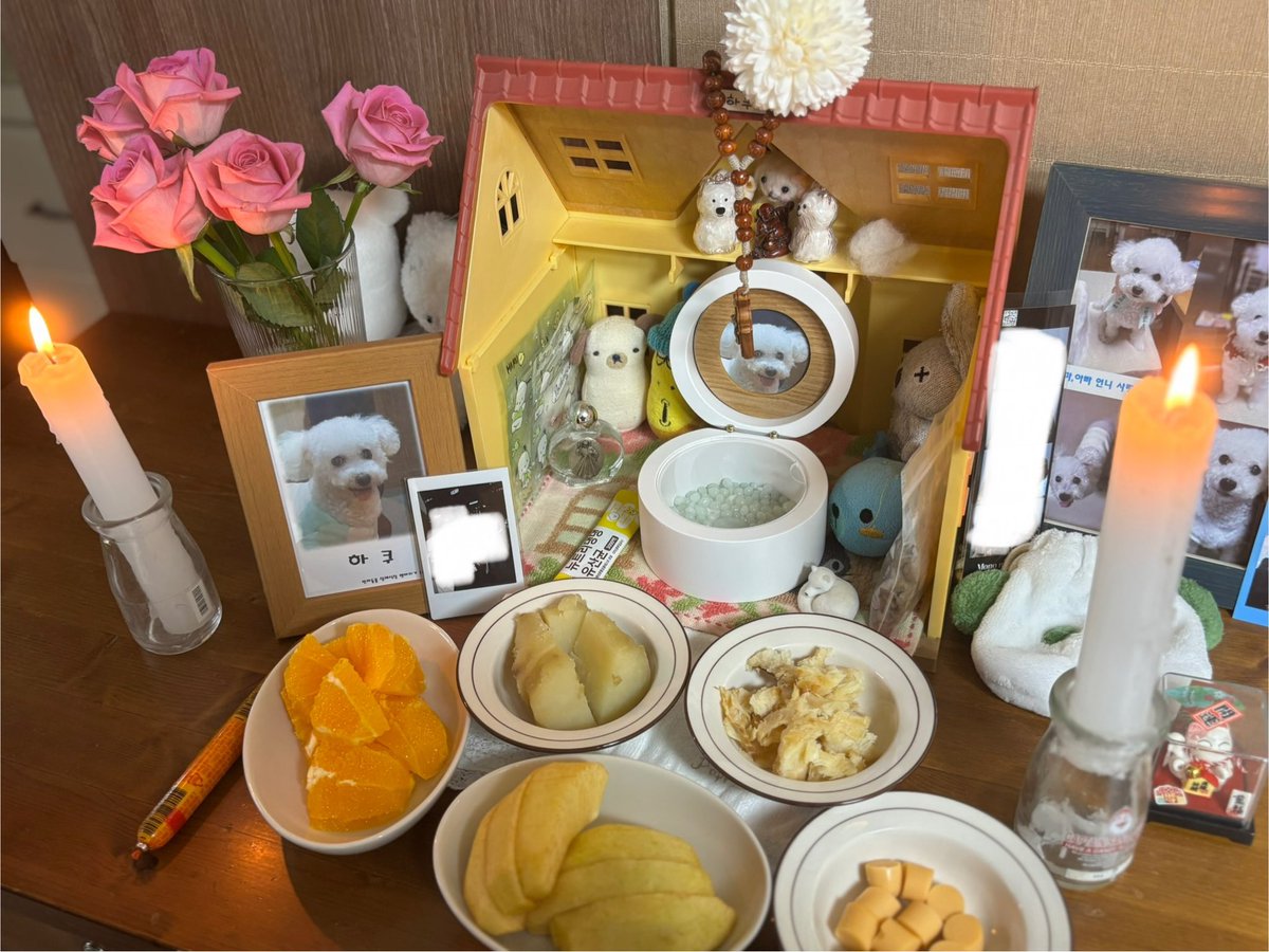 𝓡𝓾𝓭𝓪🪭 tweet media