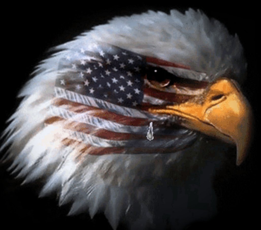 Bearded Big Belly 🇺🇸 tweet media