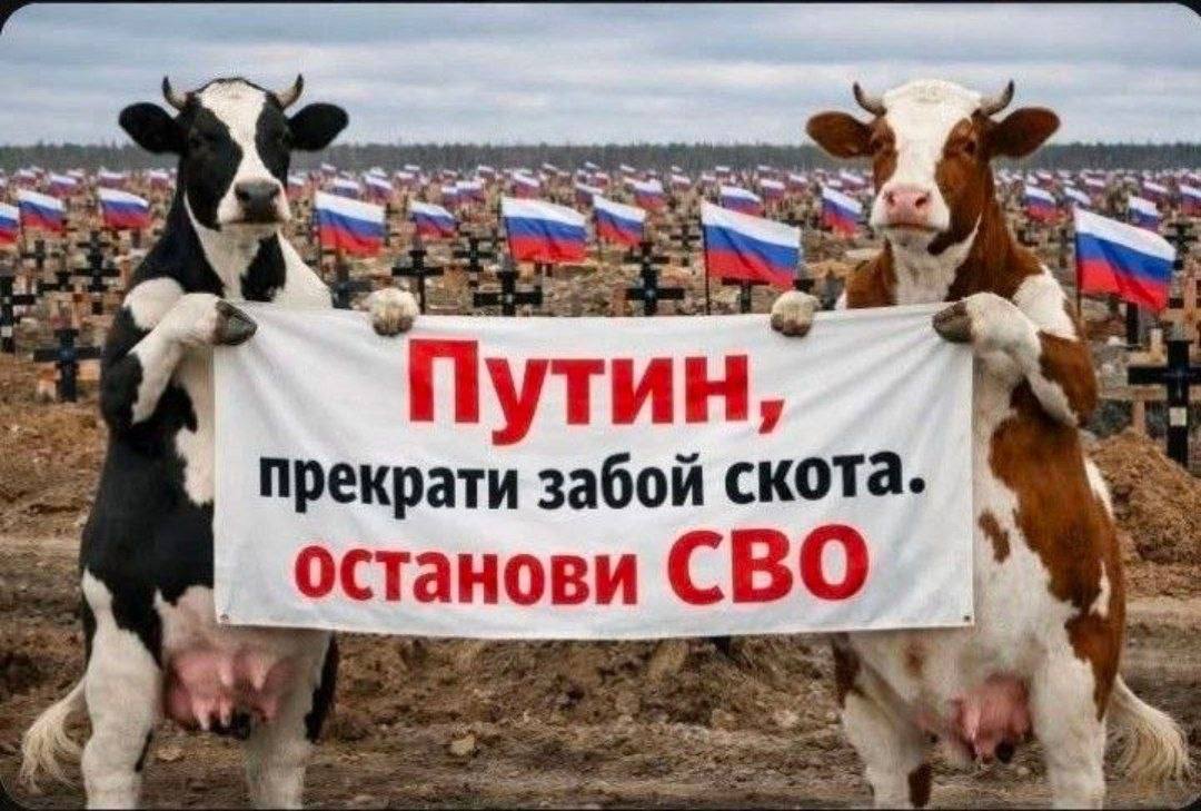 Капитан Ваймс🫚🥃🧩🎡 tweet media