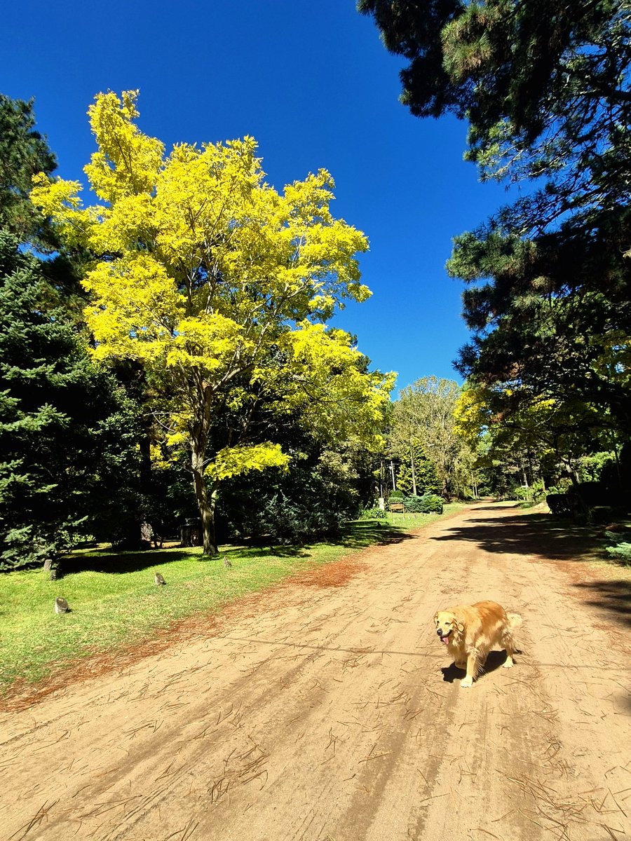 Lili Sur tweet media