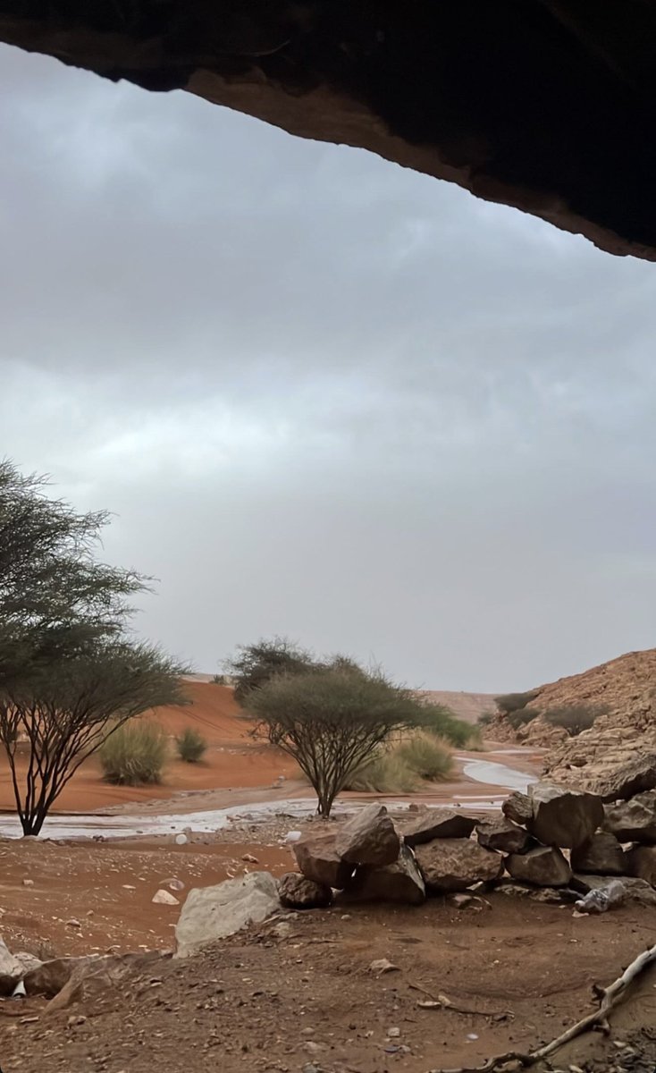 ‏قُوس tweet media