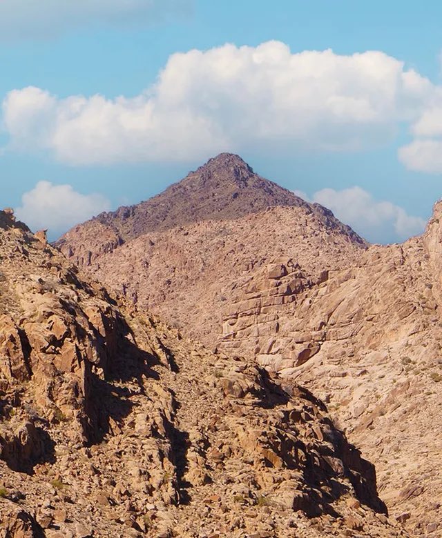 Meta Washington tweet media