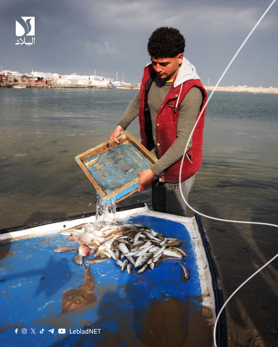 Leblad البلاد tweet media