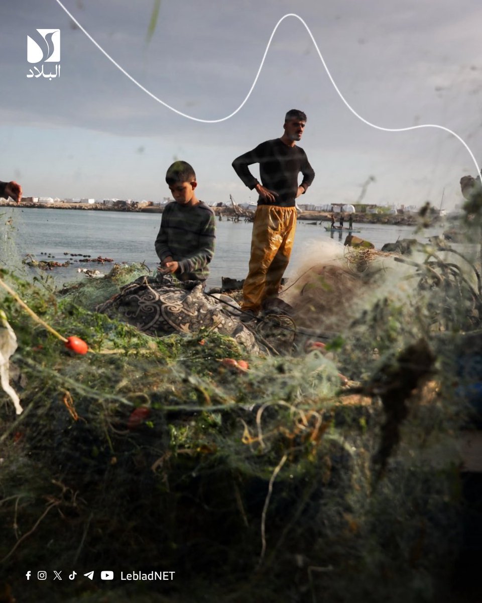 Leblad البلاد tweet media