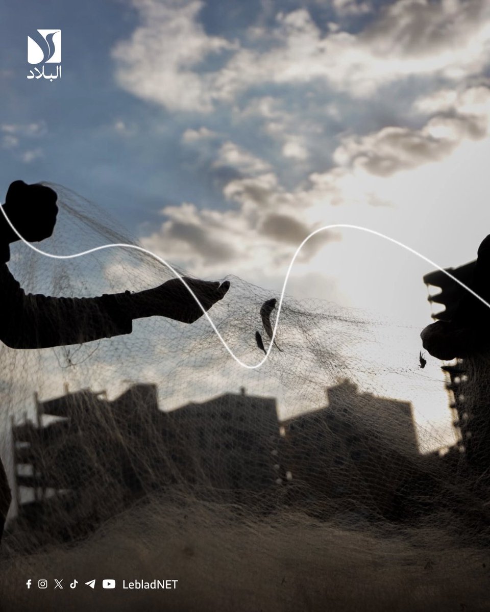 Leblad البلاد tweet media