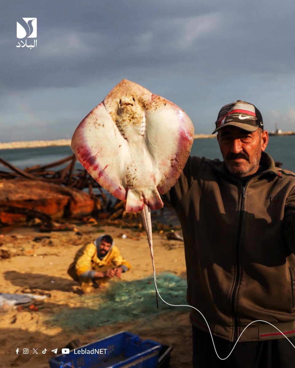 Leblad البلاد tweet media