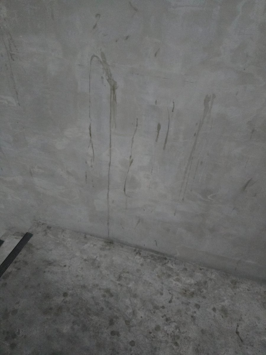 SammXofficial tweet media