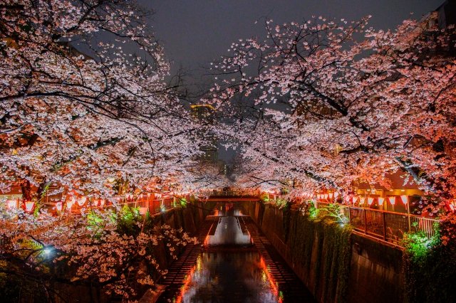 ココロに残るイベント図鑑 tweet media