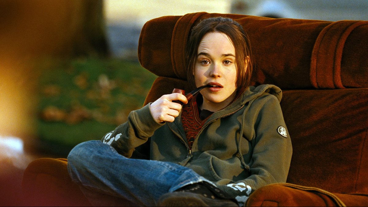 pocket mouse tweet media