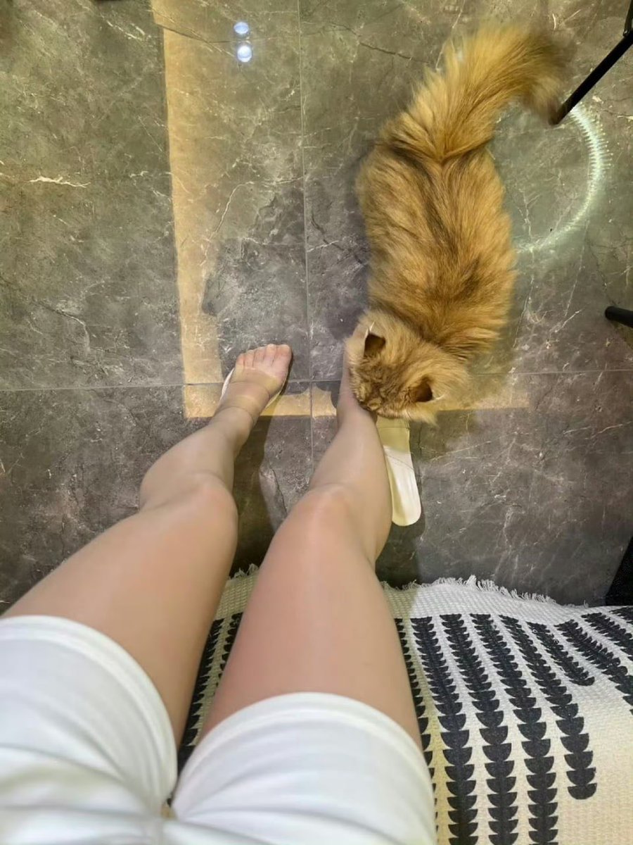 清风撩佳人 tweet media