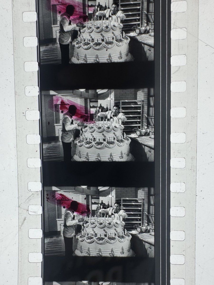 Mistress of the Reel™ tweet media