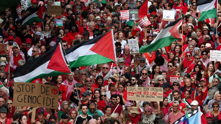 Ray ✨🍉 tweet media