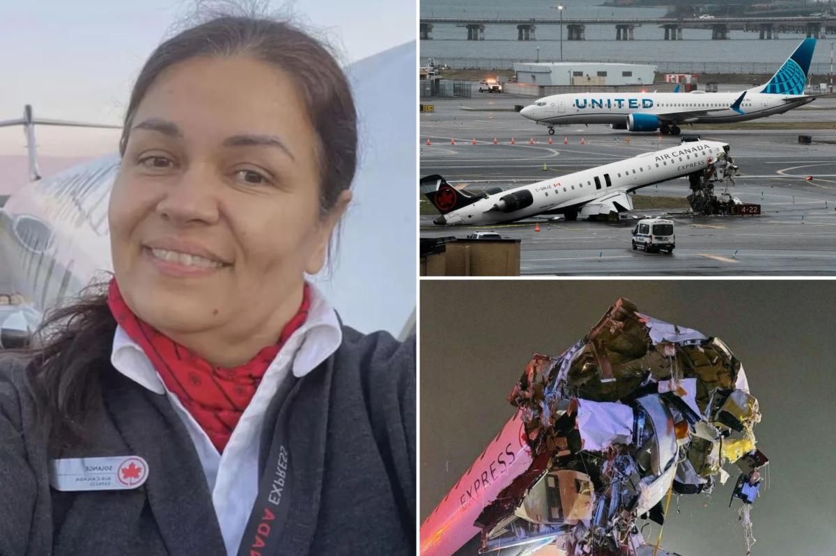 nypost's tweet image. 'Miracle' Air Canada flight attendant posted eerie social-media premonition three years before La Guardia crash trib.al/kjqGSDt